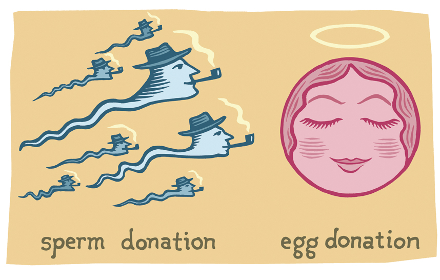 Sperm Donors And Egg Donors Findings Yale Alumni Magazine