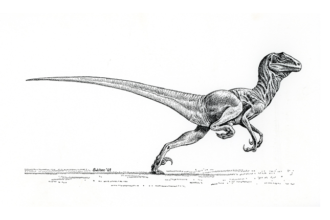 deinonychus – Nix Illustration