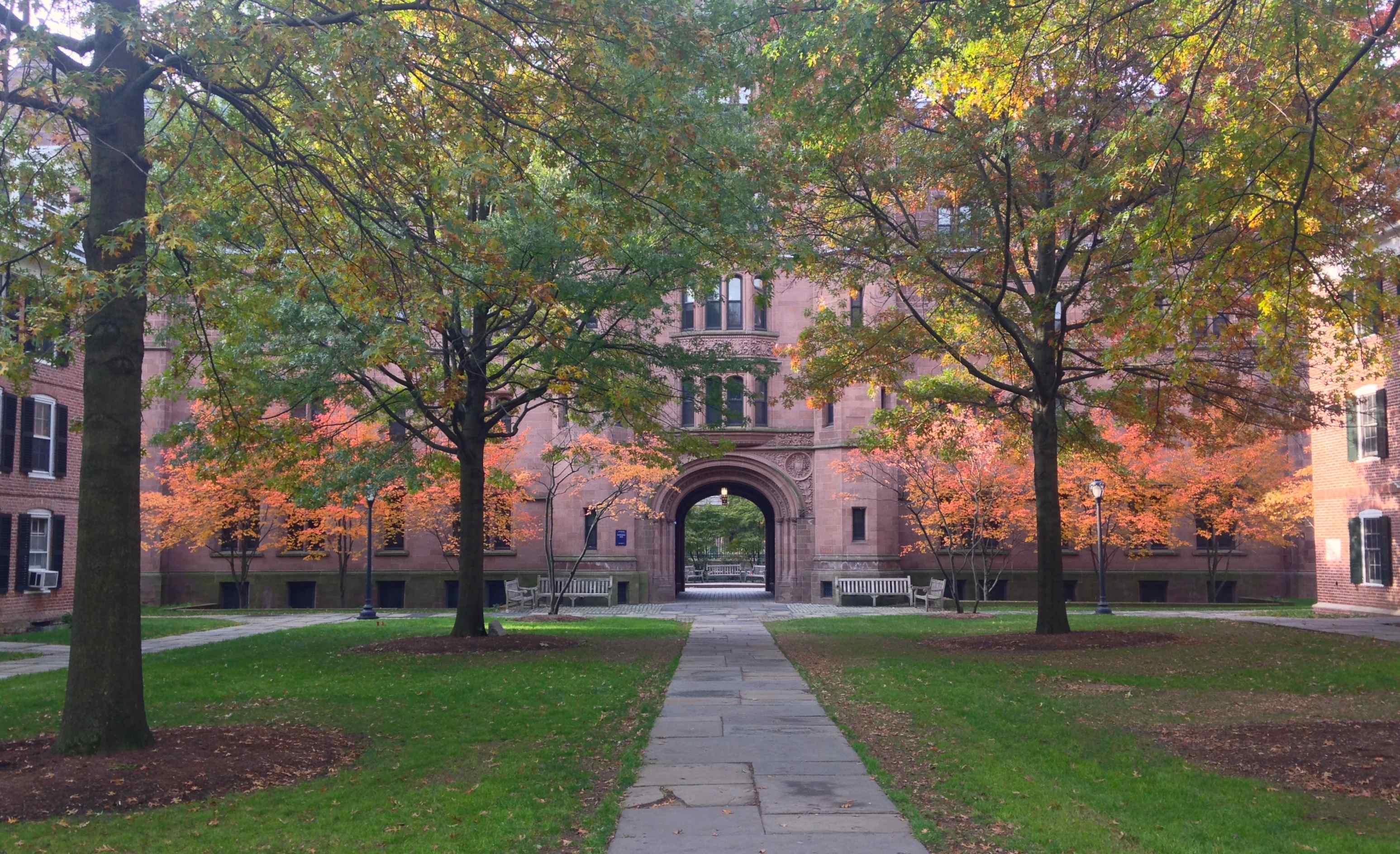 Old Campus aflame | Daily Snap | Yale Alumni Magazine
